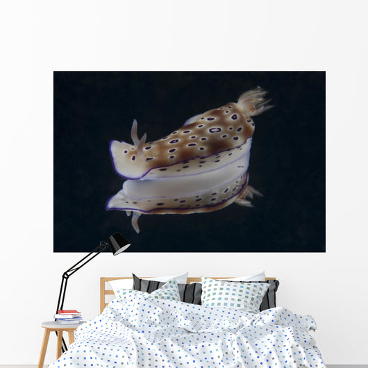 Risbecia Tryoni Nudibranch Beqa Left Side Wall Decal