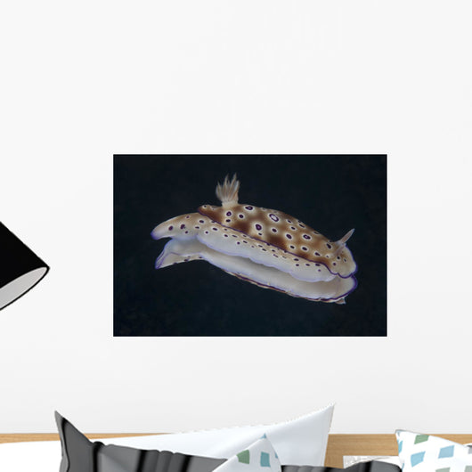 Risbecia Tryoni Nudibranch Beqa Right Side Wall Decal