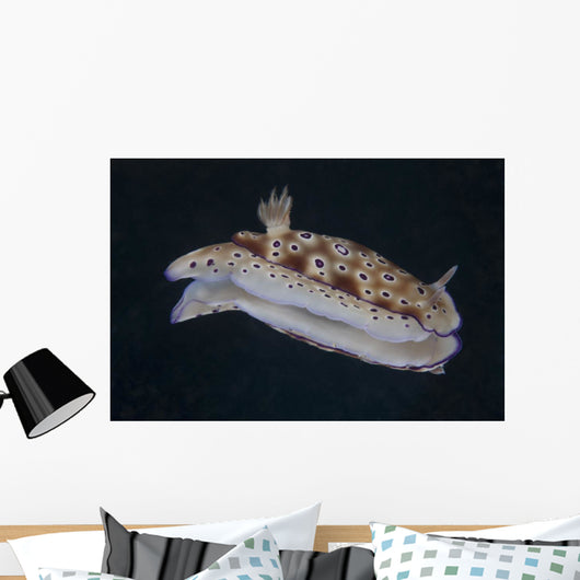 Risbecia Tryoni Nudibranch Beqa Right Side Wall Decal