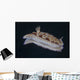 Risbecia Tryoni Nudibranch Beqa Right Side Wall Decal