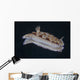 Risbecia Tryoni Nudibranch Beqa Right Side Wall Decal