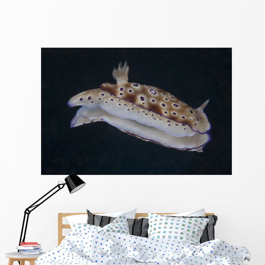 Risbecia Tryoni Nudibranch Beqa Right Side Wall Decal