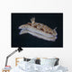 Risbecia Tryoni Nudibranch Beqa Right Side Wall Decal
