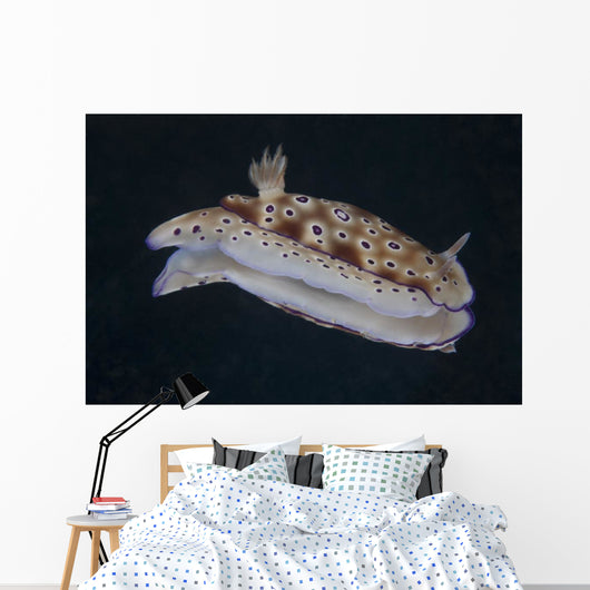 Risbecia Tryoni Nudibranch Beqa Right Side Wall Decal