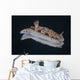 Risbecia Tryoni Nudibranch Beqa Right Side Wall Decal