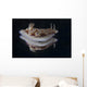 Risbecia Tryoni Nudibranch Beqa Wall Decal