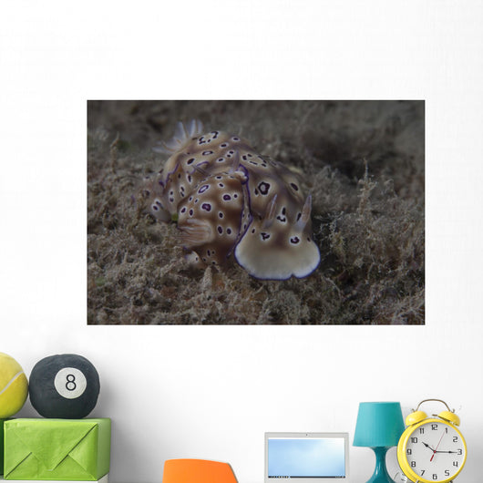 Pair Risbecia Tryoni Nudibranch Wall Decal