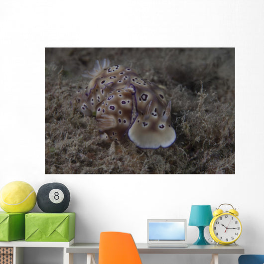 Pair Risbecia Tryoni Nudibranch Wall Decal