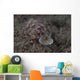 Pair Risbecia Tryoni Nudibranch Wall Decal