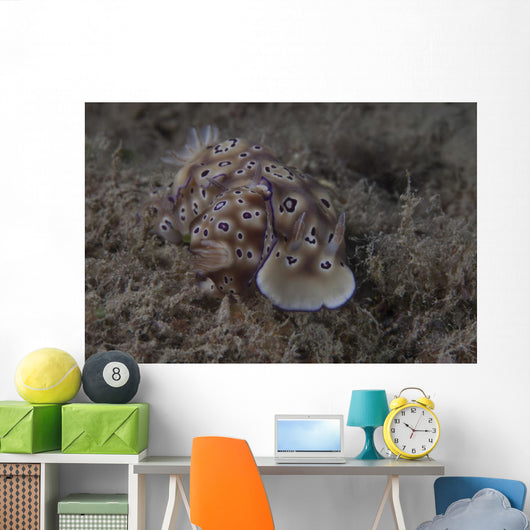 Pair Risbecia Tryoni Nudibranch Wall Decal