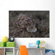 Pair Risbecia Tryoni Nudibranch Wall Decal