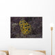 Phyllidia Ocellata Nudibranch Wall Decal