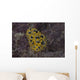 Phyllidia Ocellata Nudibranch Wall Decal