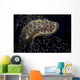 Chromodoris Kuniei Nudibranch Beqa Turning Right Wall Decal