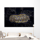 Chromodoris Kuniei Nudibranch Beqa Resting Wall Decal