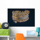 Chromodoris Kuniei Nudibranch Beqa Flared Fins Wall Decal