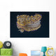Chromodoris Kuniei Nudibranch Beqa Flared Fins Wall Decal