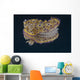 Chromodoris Kuniei Nudibranch Beqa Flared Fins Wall Decal