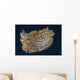 Chromodoris Kuniei Nudibranch Beqa Backside Wall Decal