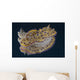 Chromodoris Kuniei Nudibranch Beqa Backside Wall Decal