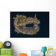 Chromodoris Kuniei Nudibranch Beqa Pale Wall Decal