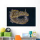 Chromodoris Kuniei Nudibranch Beqa Pale Wall Decal