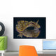 Chromodoris Kuniei Nudibranch Beqa Wall Decal