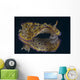 Chromodoris Kuniei Nudibranch Beqa Wall Decal