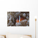 Tomato Clownfish Its Host Front Wall Decal