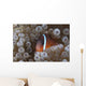 Tomato Clownfish Its Host Front Wall Decal