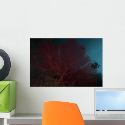 Large Red Gorgonian Sea Close-up Wall Decal