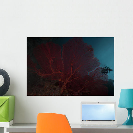 Large Red Gorgonian Sea Close-up Wall Decal