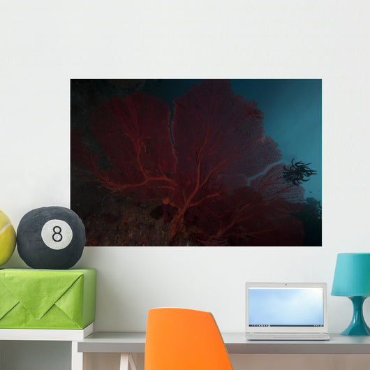 Large Red Gorgonian Sea Close-up Wall Decal