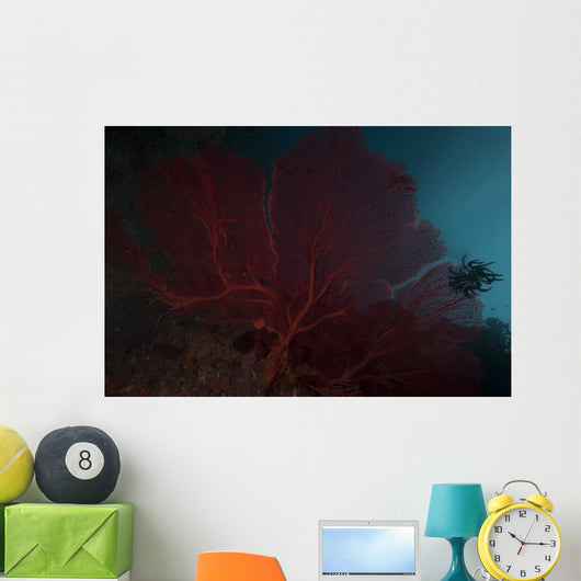 Large Red Gorgonian Sea Close-up Wall Decal