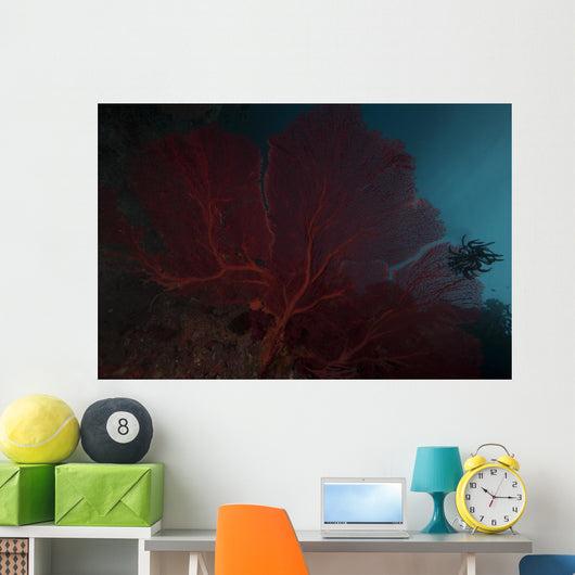 Large Red Gorgonian Sea Close-up Wall Decal
