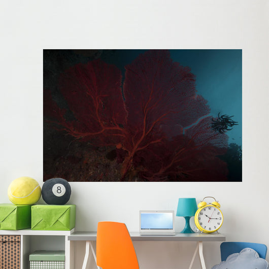 Large Red Gorgonian Sea Close-up Wall Decal