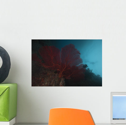Large Red Gorgonian Sea Blue Wall Decal