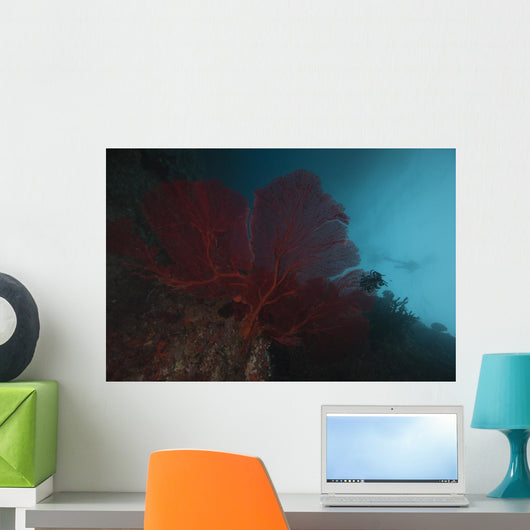Large Red Gorgonian Sea Blue Wall Decal