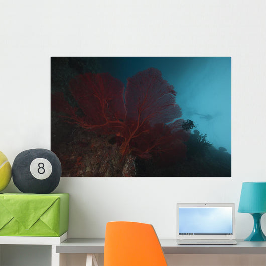 Large Red Gorgonian Sea Blue Wall Decal