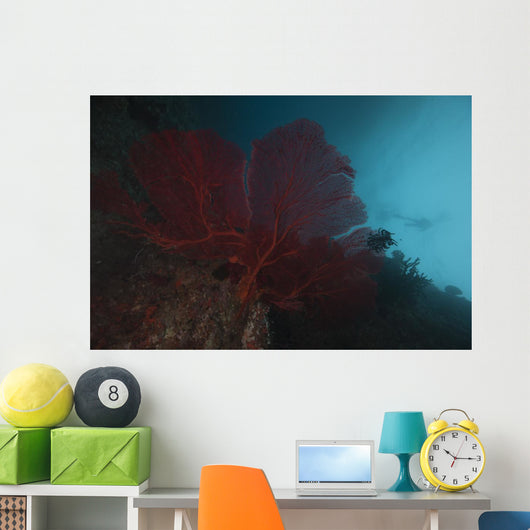 Large Red Gorgonian Sea Blue Wall Decal