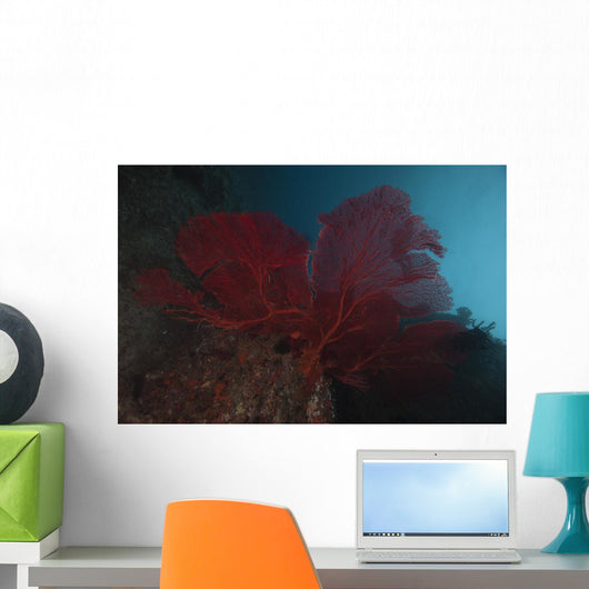 Large Red Gorgonian Sea  Dark Wall Decal