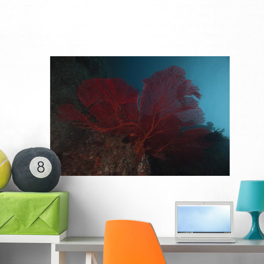 Large Red Gorgonian Sea  Dark Wall Decal