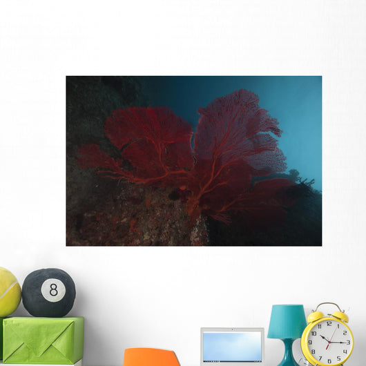 Large Red Gorgonian Sea  Dark Wall Decal