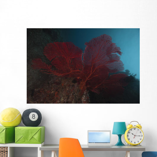 Large Red Gorgonian Sea  Dark Wall Decal
