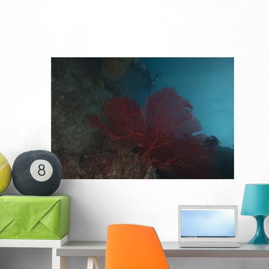 Large Red Gorgonian Sea Wall Decal