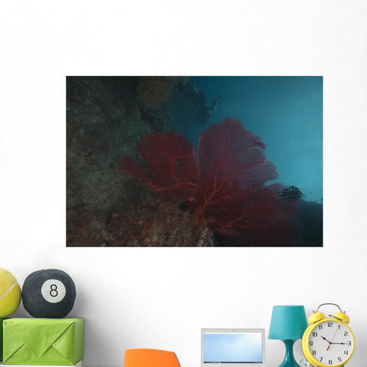Large Red Gorgonian Sea Wall Decal