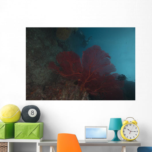 Large Red Gorgonian Sea Wall Decal