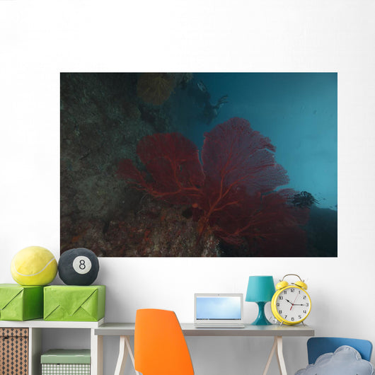Large Red Gorgonian Sea Wall Decal