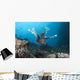 Large Common Lionfish Swimming Front Wall Decal