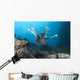 Large Common Lionfish Swimming Front Wall Decal